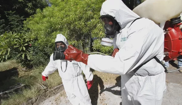 Une épidémie persistante en France : Plus de 33 000 cas confirmés depuis janvier 2025