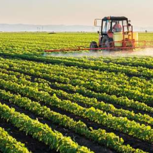 Afrique : l’agriculture africaine au…