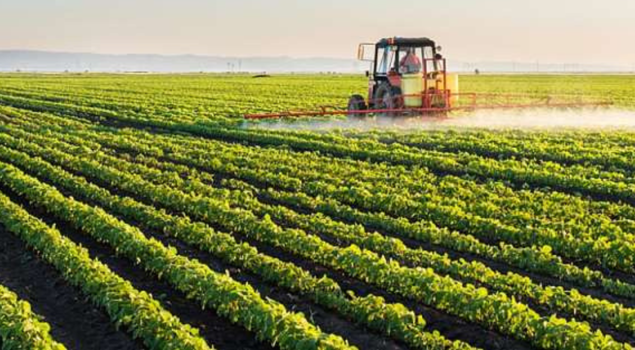 Afrique : l’agriculture africaine au cœur du nouveau plan quinquennal chinois