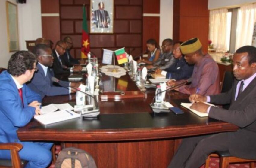  Cameroun : la réforme foncière confie aux chefs de village la délivrance de titres provisoires