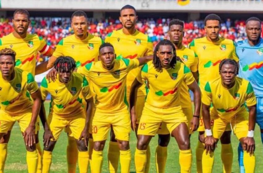  Guinée et Palestine au menu: Gernot Rohr sort sa liste de 25 Guépards