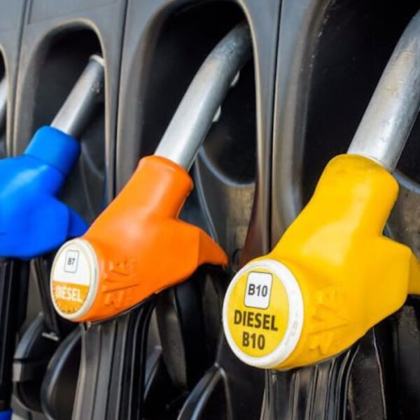 Afrique du Sud : Une…