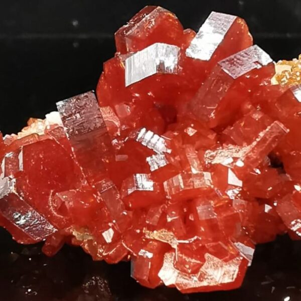 Cuivre stratégique : Le Maroc se rêve…