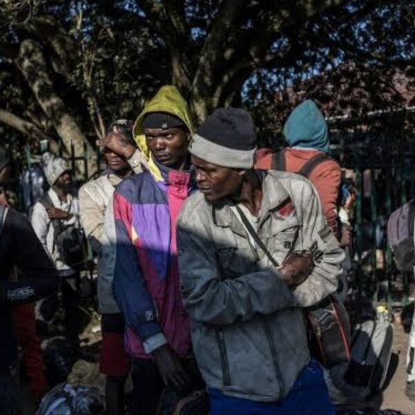 Afrique du Sud : 15 000…