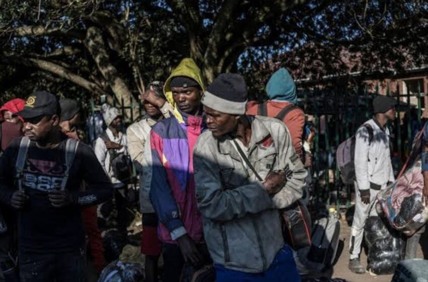  Afrique du Sud : 15 000 Malawites fuient la vague xénophobe