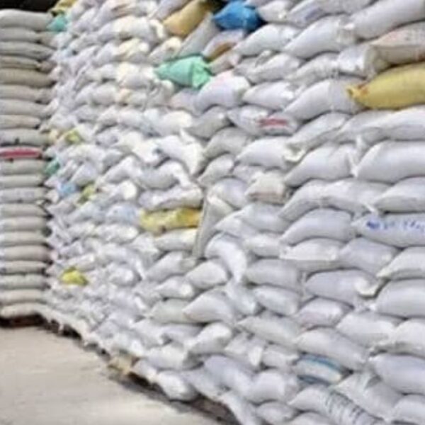 Sénégal : 250 000 tonnes de…