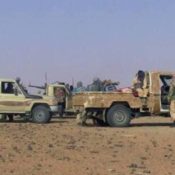 Mali : Un convoi militaire pris…