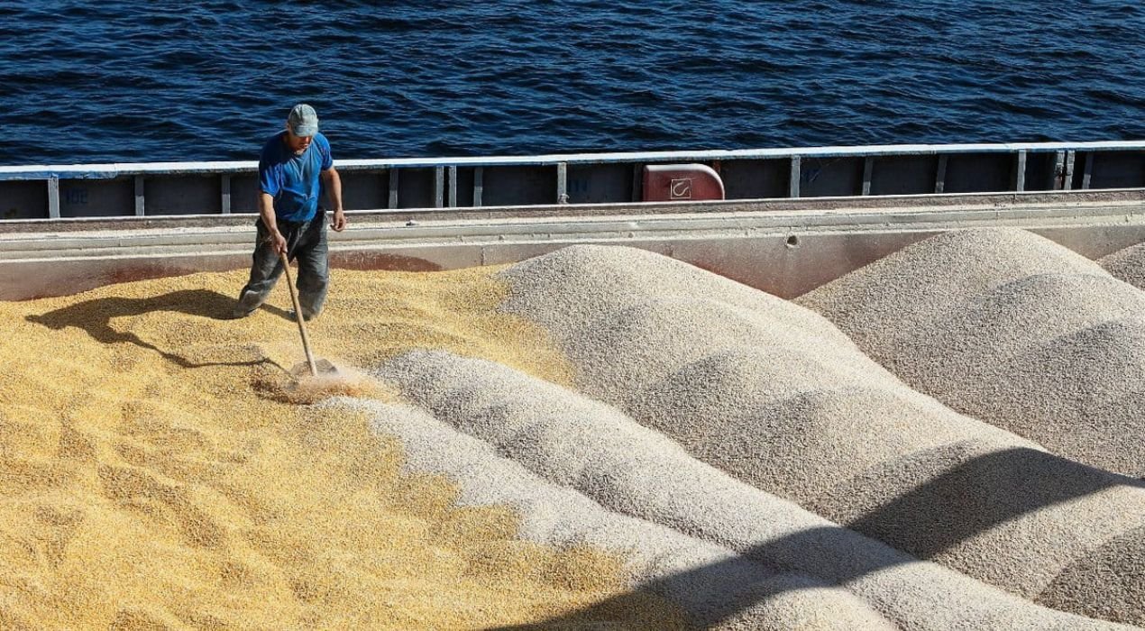 Les exportations céréalières russes bondissent de 40 % en Afrique