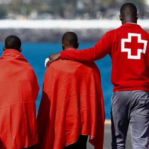 MSF : Plus de 1 000…