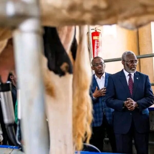 Wadagni découvre le modèle agricole rwandais…