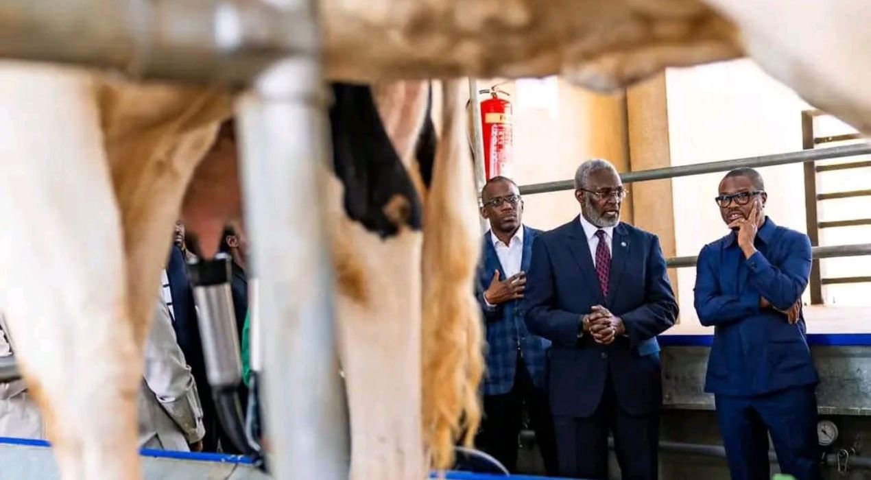 Wadagni découvre le modèle agricole rwandais de la RICA