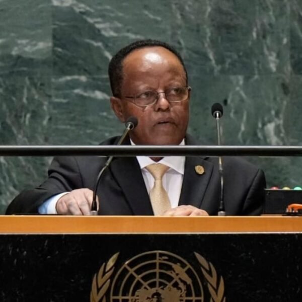 Addis-Abeba accuse des acteurs extérieurs d’attiser…
